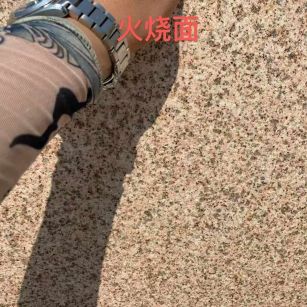 佳木斯黄金麻火烧面
